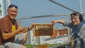 Beekeeping on the Roof of the Museum of Agriculture